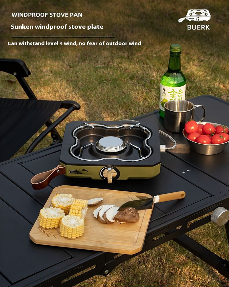 Buerk Desktop Outdoor Gas Stov - огляд і ціна Home Cooking Gas